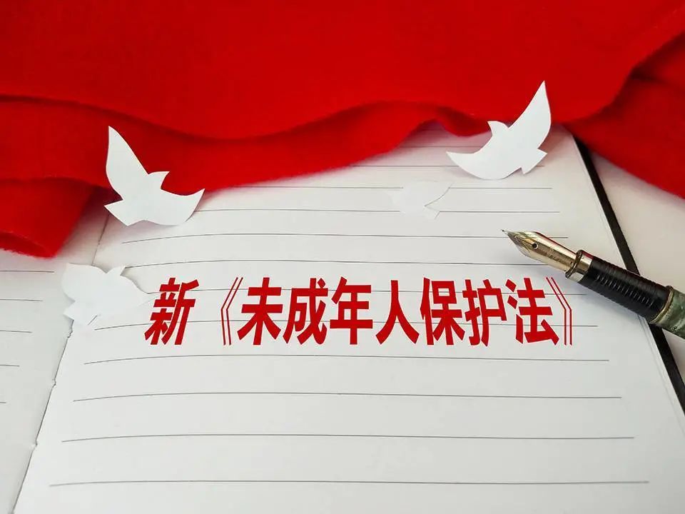 刘佳音律师开展普法活动